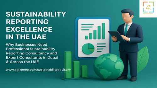 Sustainability Reporting Consultant In UAE.jpg