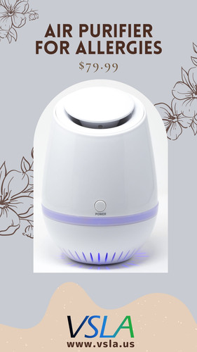 Air Purifier for Allergies.jpg