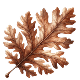 Element (92)