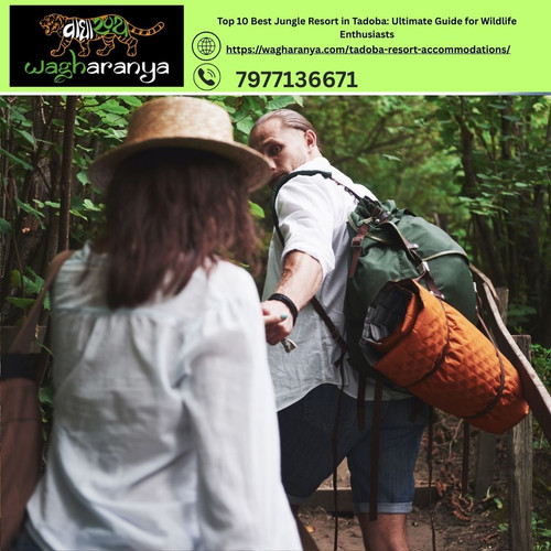 Top 10 Best Jungle Resort in Tadoba: Ultimate Guide for Wildlife Enthusiasts.jpg
