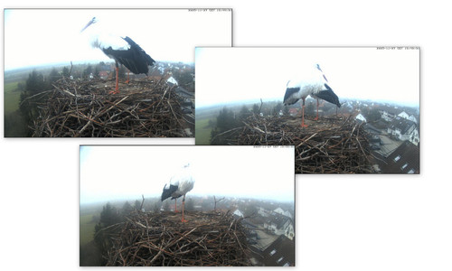 Bilder3.jpg