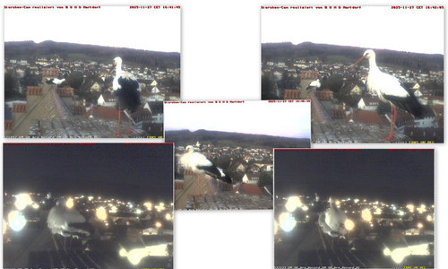 Bilder7.jpg