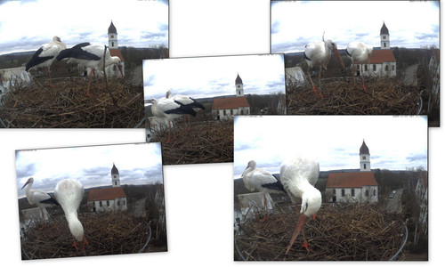 Bilder4.jpg