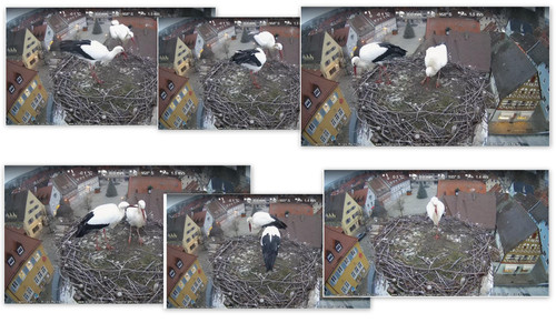 Bilder8.jpg