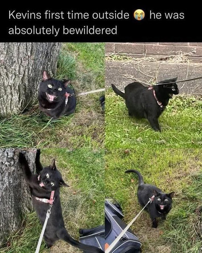 GsnkODFWEAAPKgJ.jpg