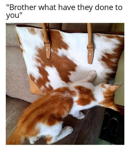 GsoFfBlXIAAD4aw.jpg
