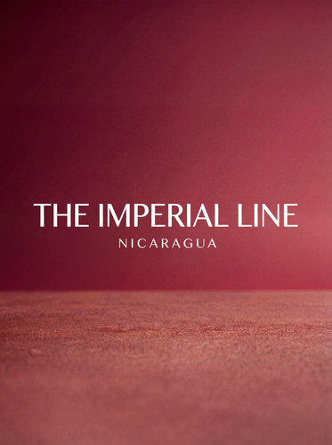 generated image 1764344472612.jpg