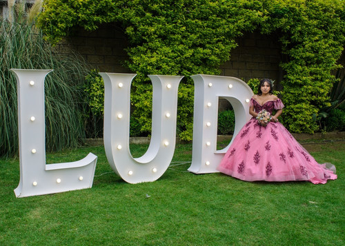 lud.jpg