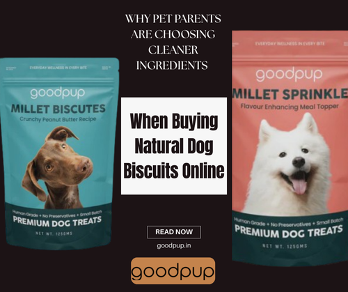 Why Pet Parents Are Choosing Cleaner Ingredients When Buying Natural Dog Biscuits Online.png