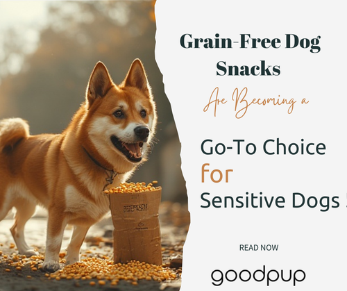 Why Grain Free Dog Snacks Are Becoming a Go To Choice for Sensitive Dogs.png