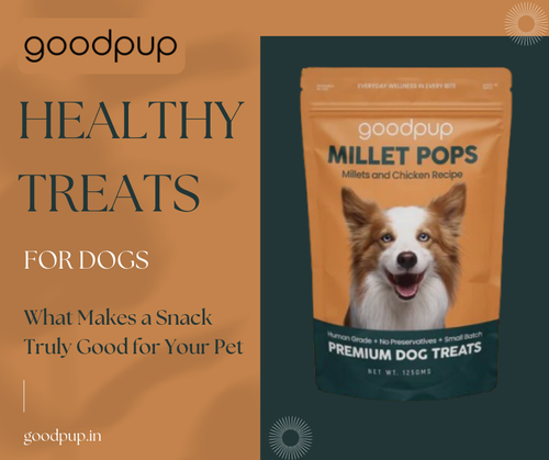 Healthy Treats for Dogs What Makes a Snack Truly Good for Your Pet.png