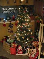 fotor 1764275805722.jpg