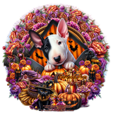 sy CC HalloweenMiniGorgeouArie vi