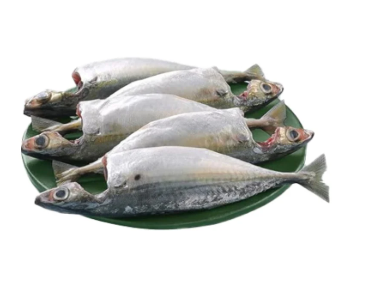 Ayala/Bangda (เด
เดฏเดฒ) Size, Whole Cleaned (Without Head)Gross Weight Before Cleaning/Cutting
