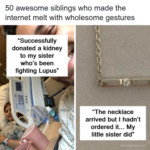 wholesome siblings.png