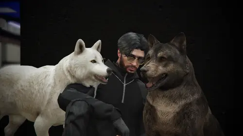 TzHKVT41OKId (1).webp