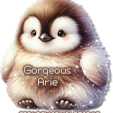 ousAriePenquinWinterAviMzAne2u vi