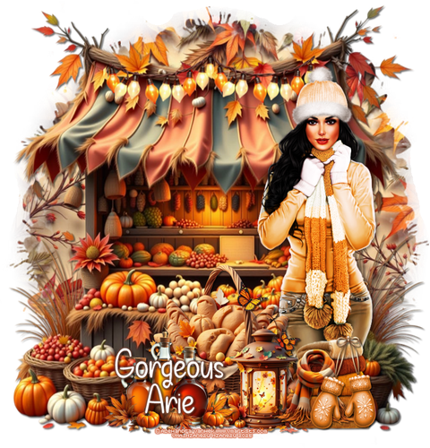 orgeousArieAutumnMarketMzAne2u vi