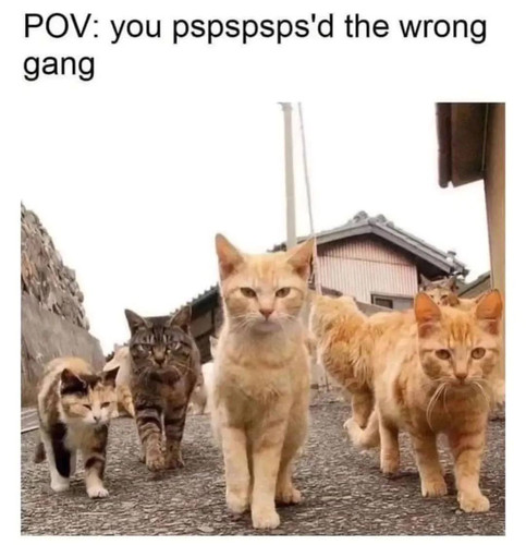 589203988 1170721625152727 592971387698123081 n.jpg