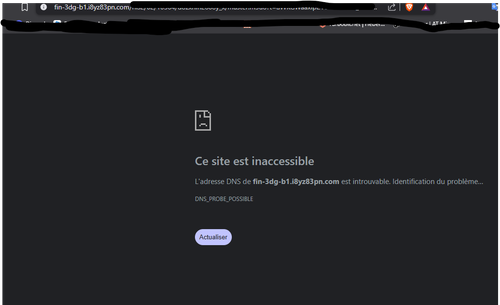 Capture d’écran 2025 11 28 142709