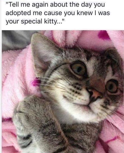 487716983 645309491456072 7215085961305560750 n.jpg