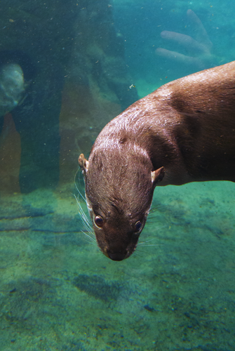 PXL 20251112 123141085.RAW 02.ORIGINAL.png