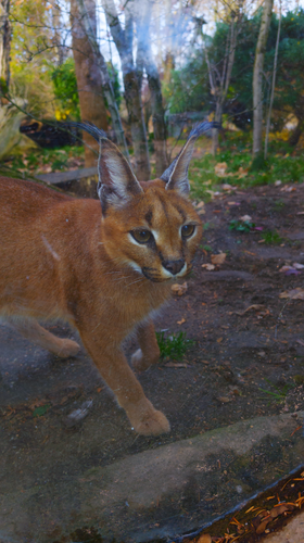 PXL 20251112 115549564.RAW 02.ORIGINAL.png