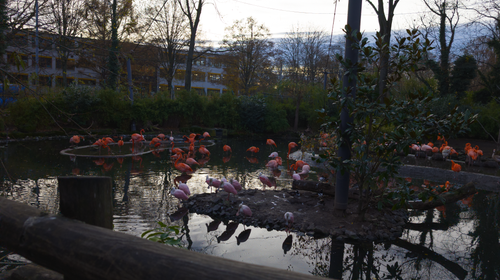 PXL 20251112 145025821.RAW 02.ORIGINAL.png