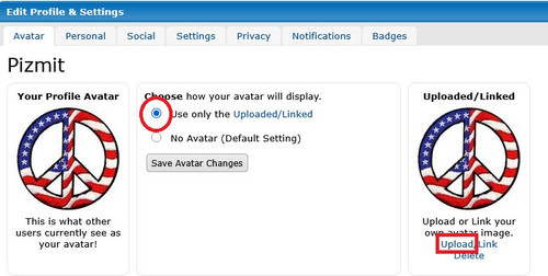 Avatar upload.jpg