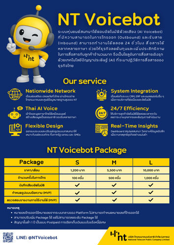 NT Voicebot package final.png