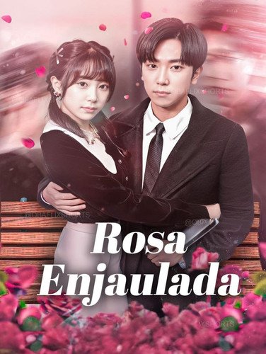 photo 2025 11 27 23 10 39.jpg