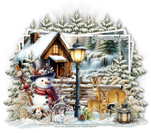 rissy WinterHearthGorgeousArie vi