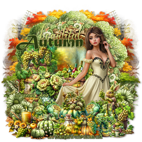 sy BeautifulAutumnGorgeousArie vi