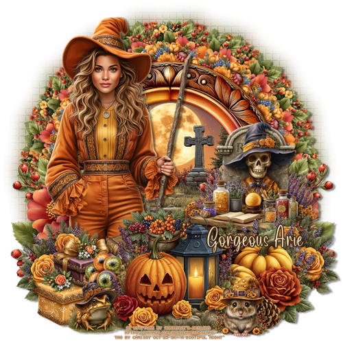 ssy ABootifulNightGorgeousArie vi.png