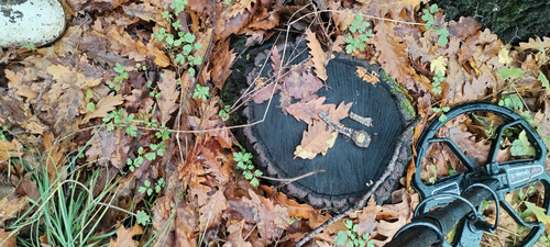 IMG 20251128 132743.jpg