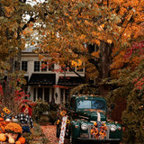 9ace6080 e6d5 4fc1 b8d2 ca6aed201037.jpg