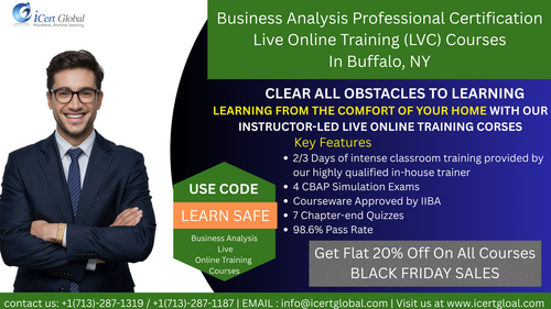 BA certification Training in Buffalo, NY.png