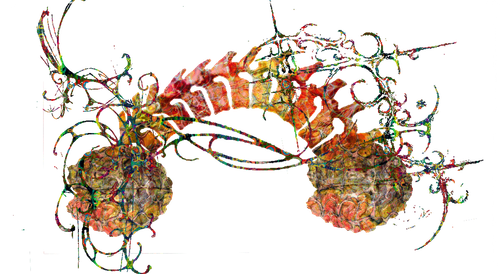 Colores.png