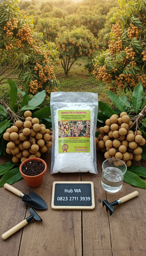 foto slot 13 (2).png