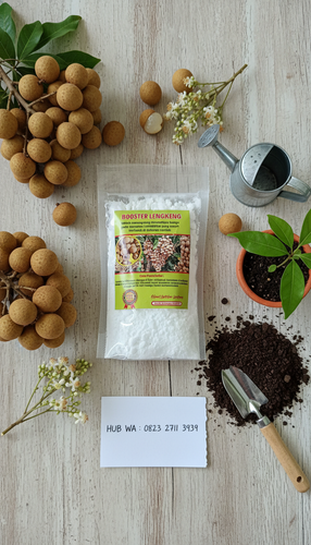 foto slot 13 (1).png