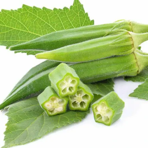 100 lf 104 sree original imagsn2qpumtg9hm.webp