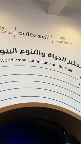 hzrMmhXxA eNxITf.jpg