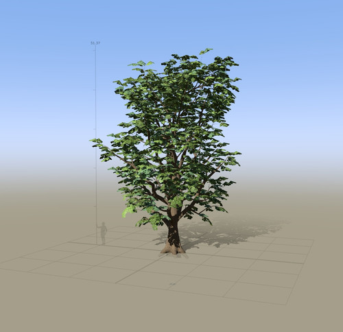 7867 SpeedTree Modeler.jpg