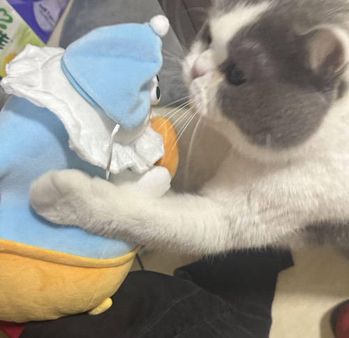 BF7466FE BC8A 4AE3 9D72 43F981C2E717.jpg