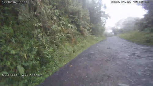 3201220236@2026012715370200 mp4 20260204105608.png