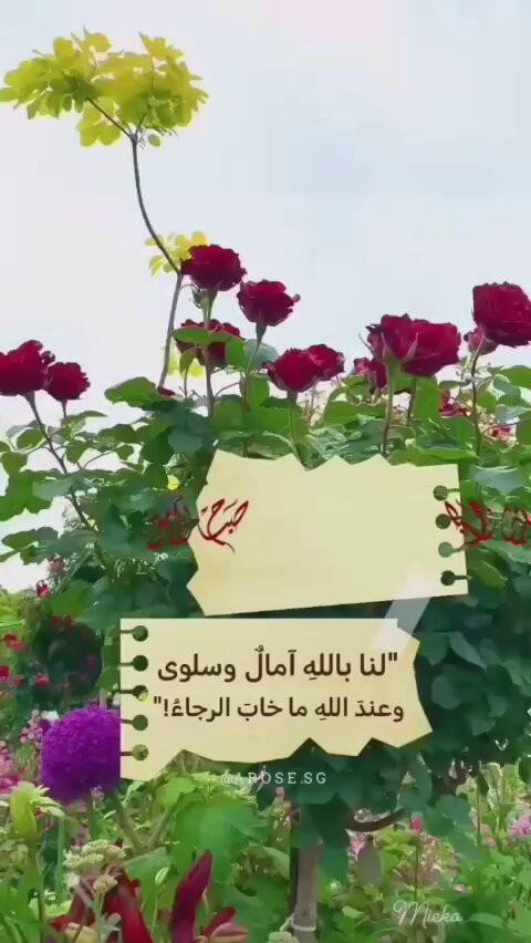 EGVzC9jg9 Kf34Zm.jpg