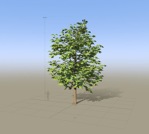 7866 SpeedTree Modeler.jpg