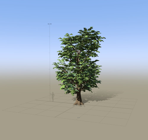 7865 SpeedTree Modeler.jpg