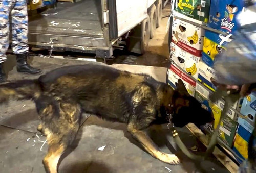 rbVpyPEJMj 7pBgwQgYJnClJ4eap8u34xfb6ejuoskly6ZauyIRN7xYyltRDT4VzvISrcTSKmb2M8mOQyORenS YheuDrsGeZkIq.jpg