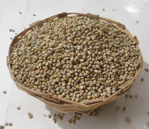 hybrid bajra seed.jpg